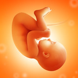 Pregnancy and Due Date Tracker3.56.0_funmod.online
