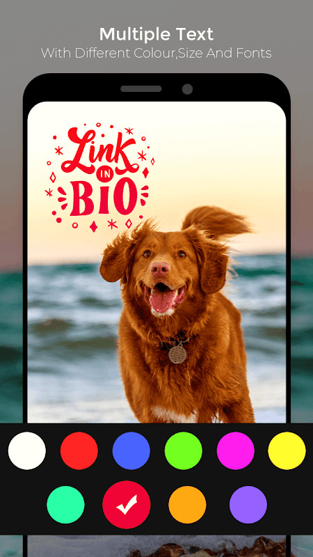 GoGiro screenshot image 3_funmod.online