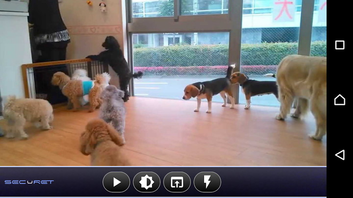 RhythmCam-Heart Rhythm Checker screenshot image 4_funmod.online