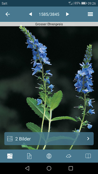 Deep Sleep Hypnotherapy screenshot image 3_funmod.online