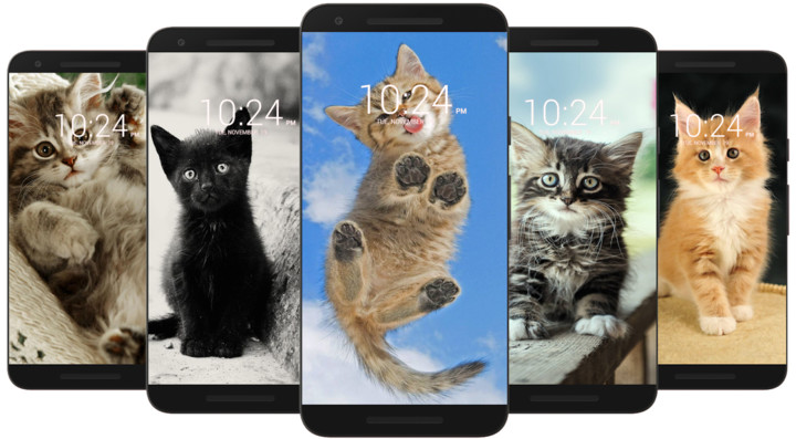 Kitten & Cute Cat Wallpaper HD screenshot image 6_funmod.online