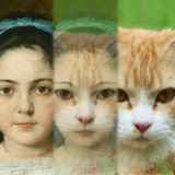 Zooface - GIF Animal Morph1.4.6_funmod.online