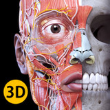Anatomy 3D Atlas4.3.0_funmod.online