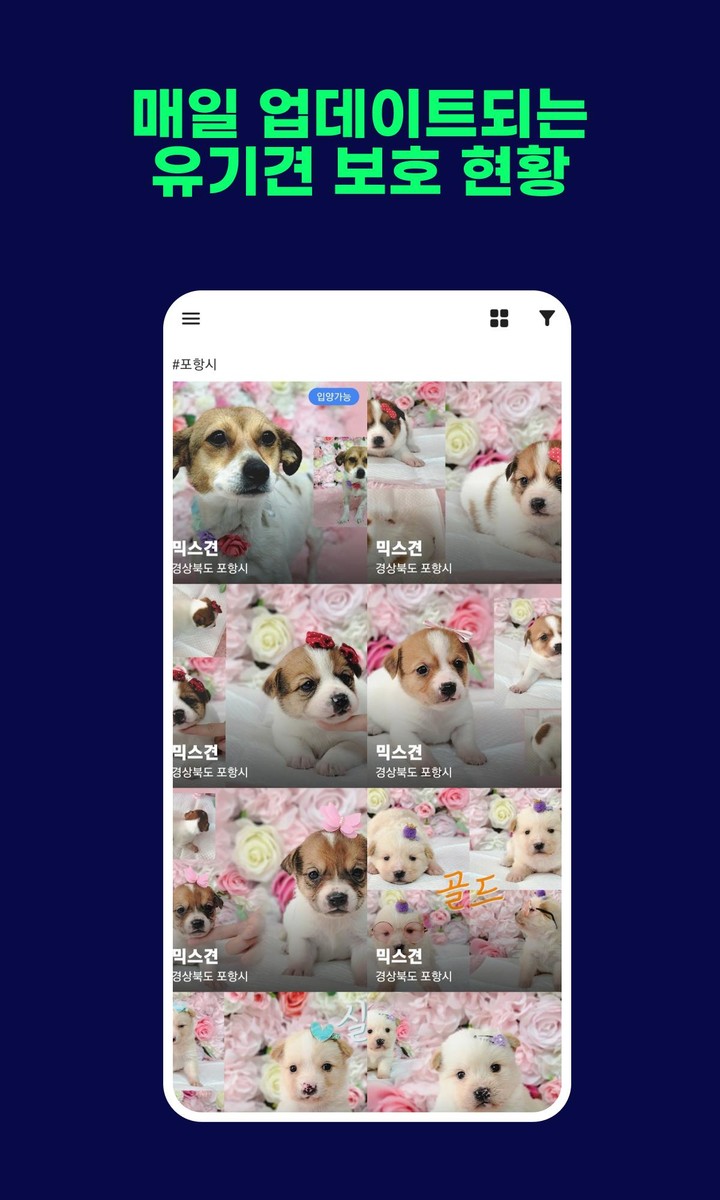 유기견 보호정보 screenshot image 2_funmod.online