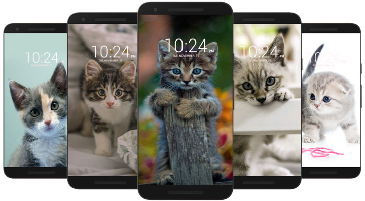 Kitten & Cute Cat Wallpaper HD screenshot image 2_funmod.online