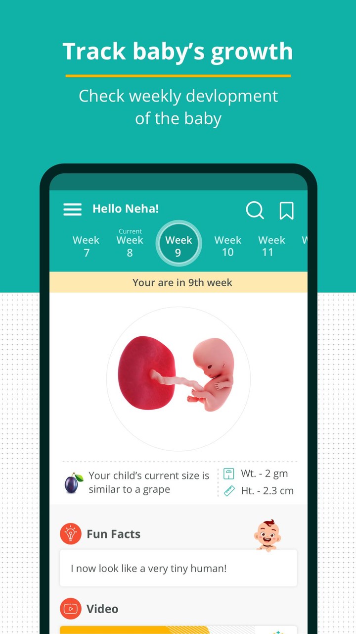 Pregnancy and Baby Tracker App screenshot image 9_funmod.online