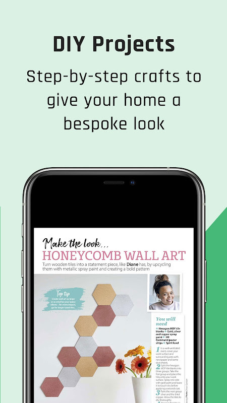 HomeStyle Magazine screenshot image 9_funmod.online