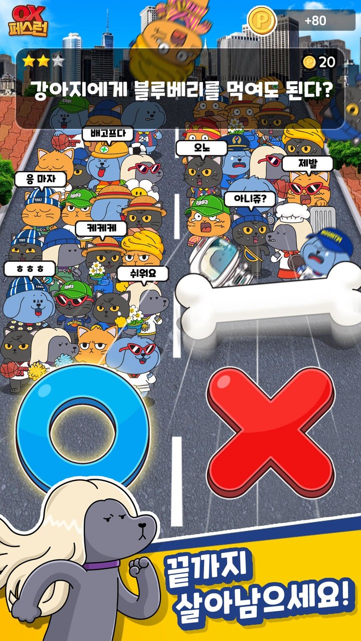 OX 페스런 - 강아지 고양이 상식 퀴즈 screenshot image 5_funmod.online