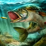 Ultimate Fishing Simulator<span>(Unlimited gold coins)</span>3.5_funmod.online