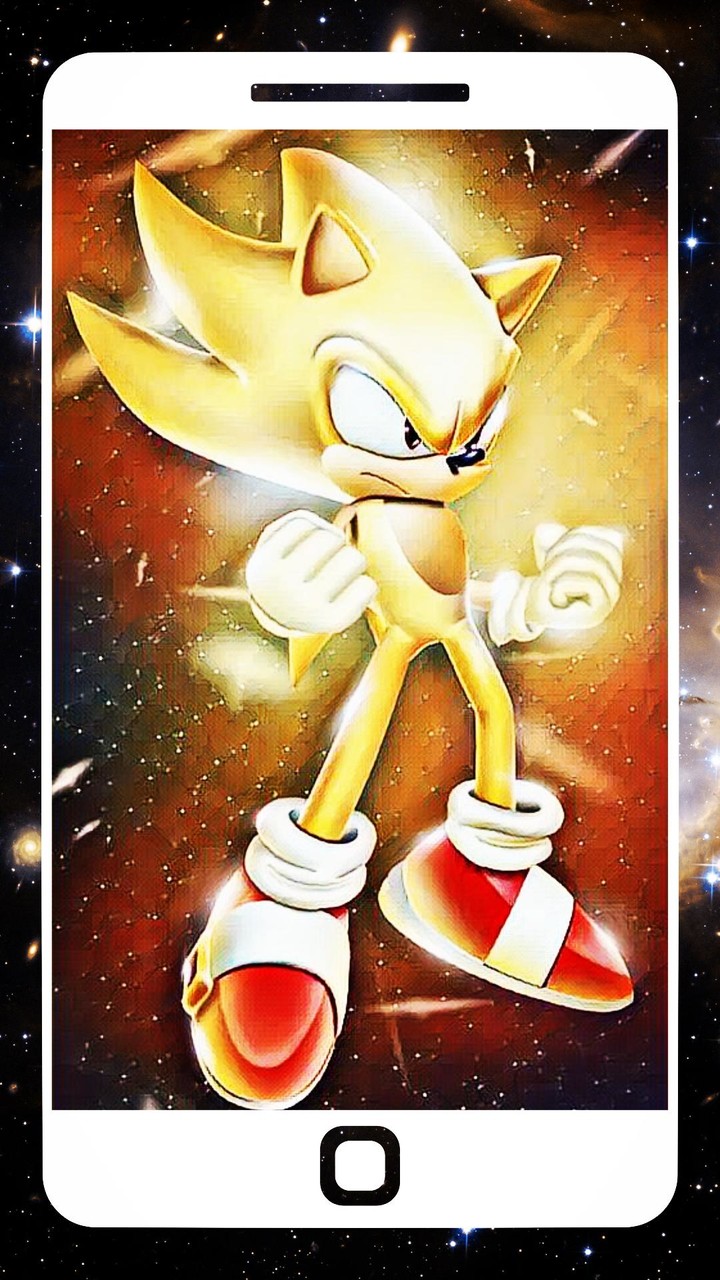 Amazing Hedgehog Wallpapers screenshot image 1_funmod.online