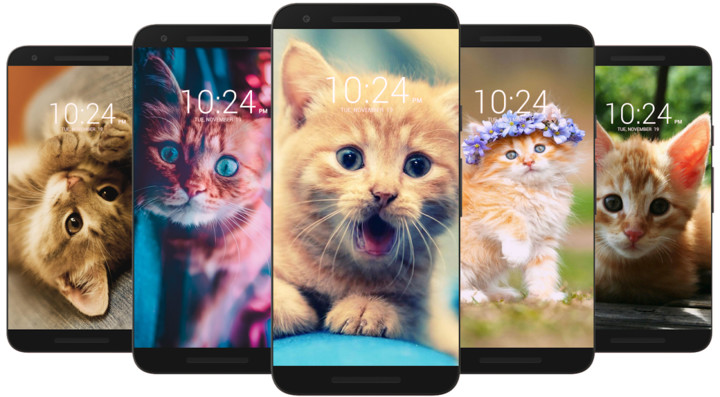 Kitten & Cute Cat Wallpaper HD screenshot image 7_funmod.online