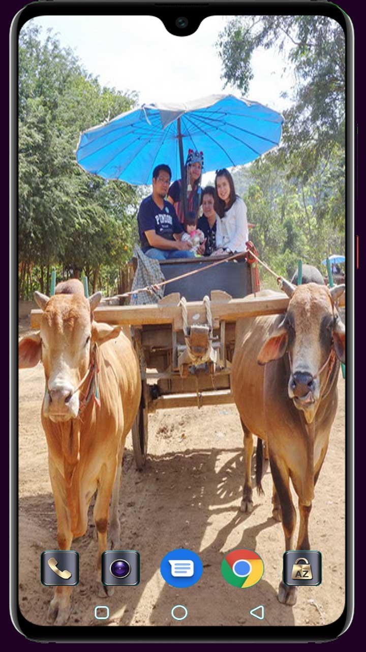 Medical Logo Maker screenshot image 23_funmod.online