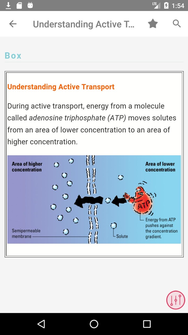 Fluids and Electrolytes MIE screenshot image 4_funmod.online