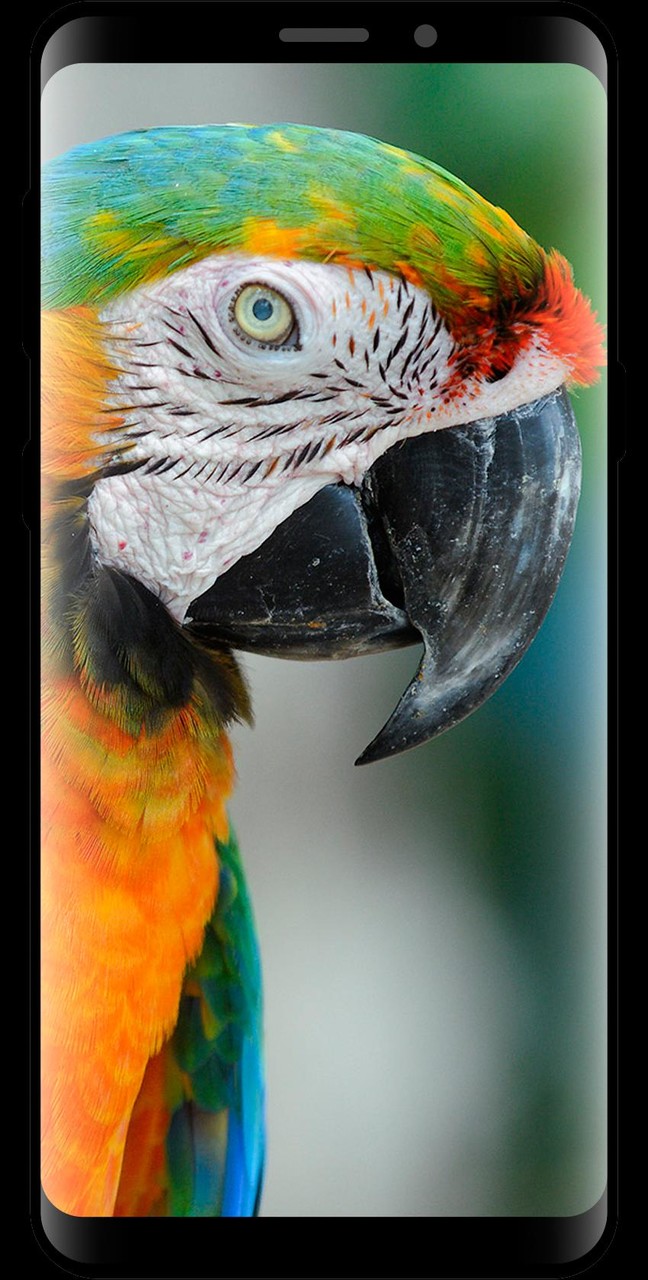 10000 HD Wallpapers & Backgrou screenshot image 10_funmod.online