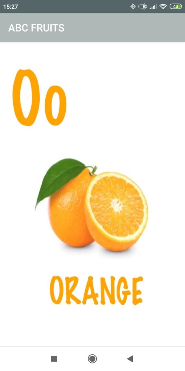 inDiabetes-Recorder screenshot image 9_funmod.online