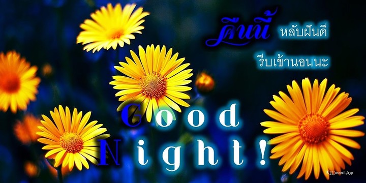 Good Night screenshot image 21_funmod.online