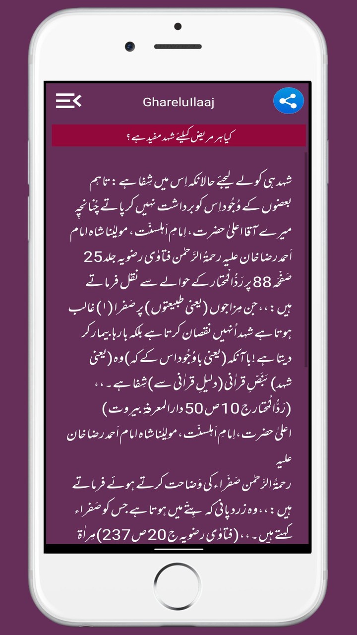 Islami Gharelu Ilaj Urdu Hindi screenshot image 3_funmod.online