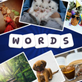 1 Pic 3 Words1.1.1_funmod.online