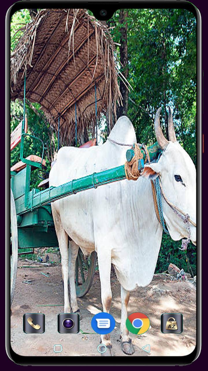 Medical Logo Maker screenshot image 28_funmod.online