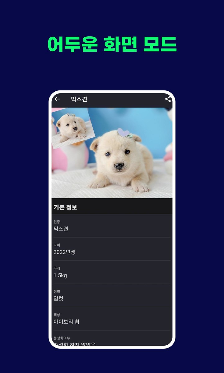 유기견 보호정보 screenshot image 5_funmod.online