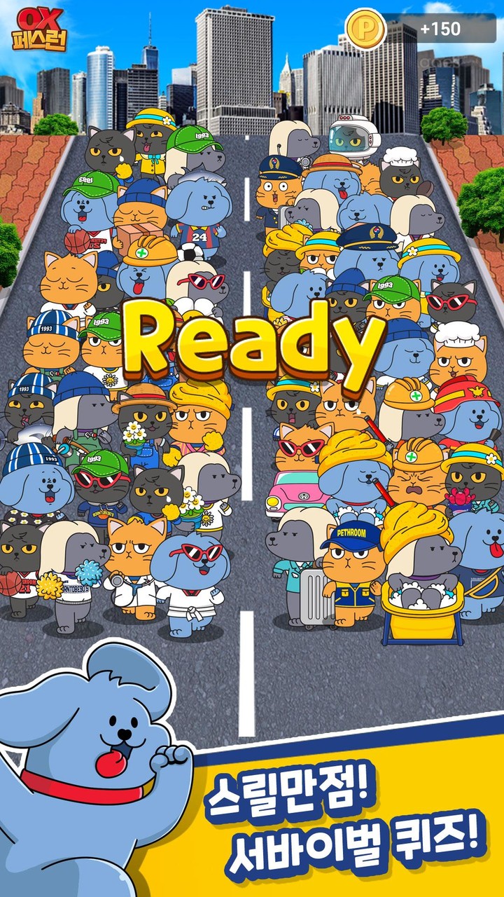 OX 페스런 - 강아지 고양이 상식 퀴즈 screenshot image 2_funmod.online