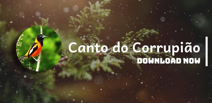 Canto Do Corrupião screenshot image 13_funmod.online