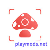 Picture Mushroom - Mushroom ID<span>(Premium Unlocked)</span>2.9.23_funmod.online