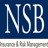 NSB Insurance Online2021.4.0_funmod.online