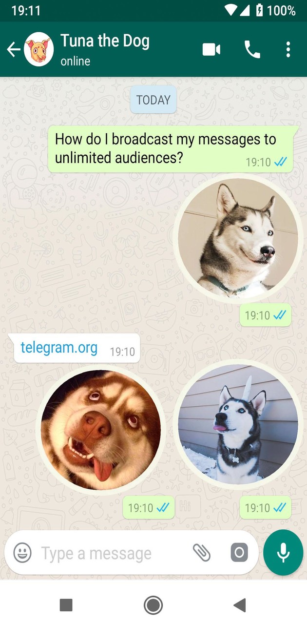 Cute Husky Stickers WAStickers screenshot image 8_funmod.online