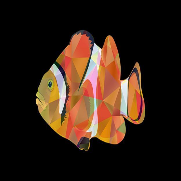 Amazing fish wallpapers screenshot image 1_funmod.online