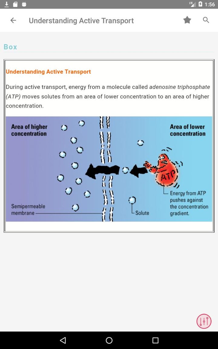 Fluids and Electrolytes MIE screenshot image 12_funmod.online