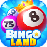 Bingo Land-Classic Game Online1.3.6_funmod.online