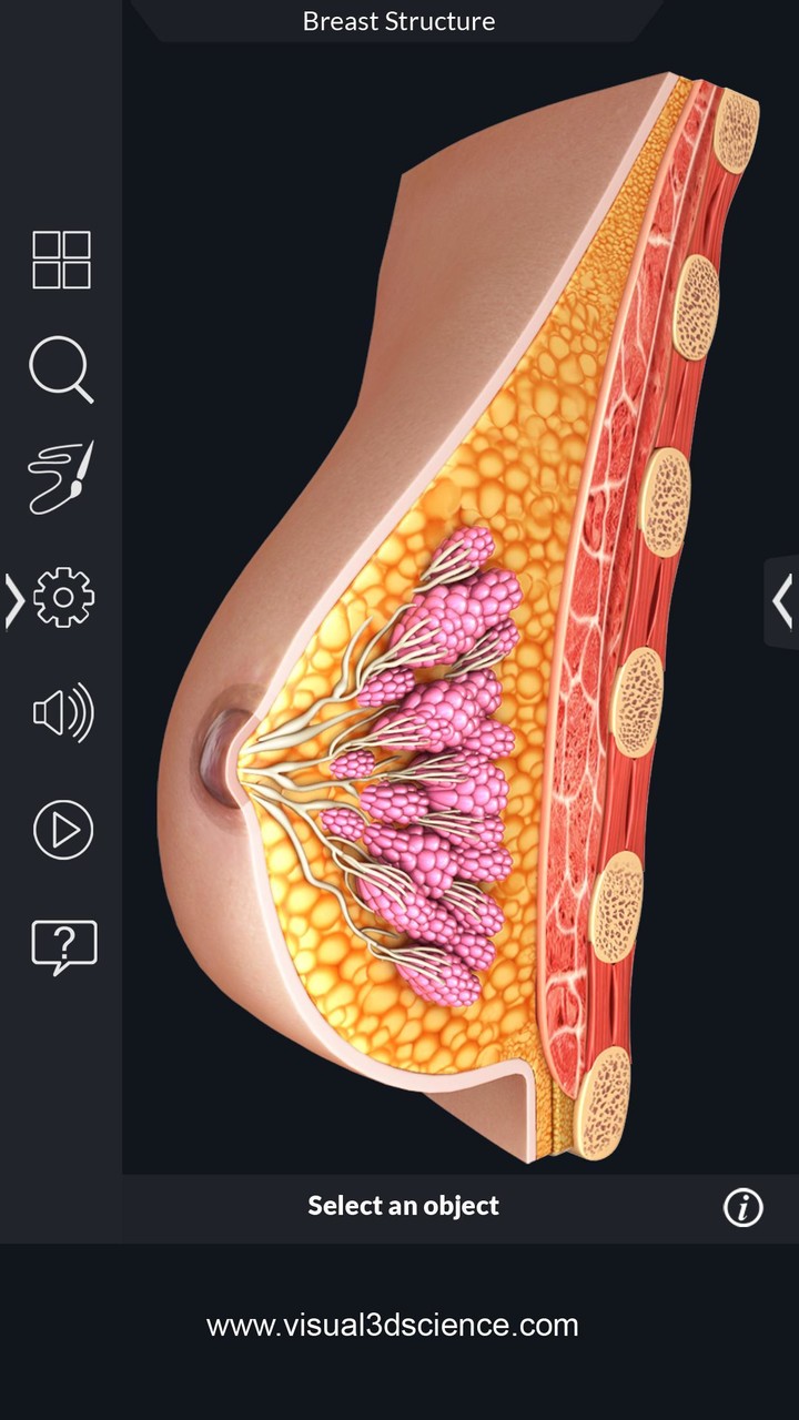 Organs Anatomy Pro. screenshot image 8_funmod.online