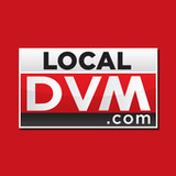LocalDVM WDVM News41.9.0_funmod.online