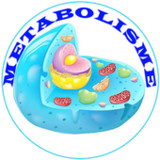 Metabolism2.7_funmod.online