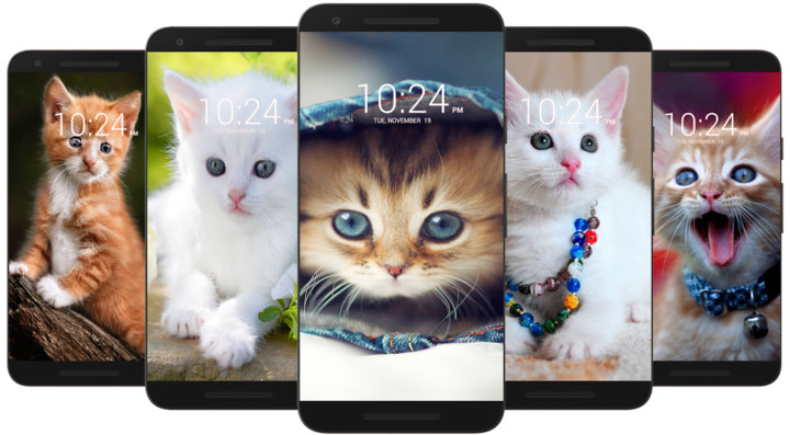 Kitten & Cute Cat Wallpaper HD screenshot image 4_funmod.online