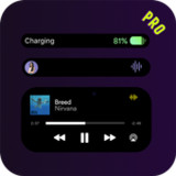 Dynamic Notification IOS 161.0.2_funmod.online