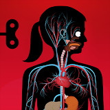 The Human Body by Tinybop<span>(Unlock full content)</span>3.6.7_Popularmodapk.com