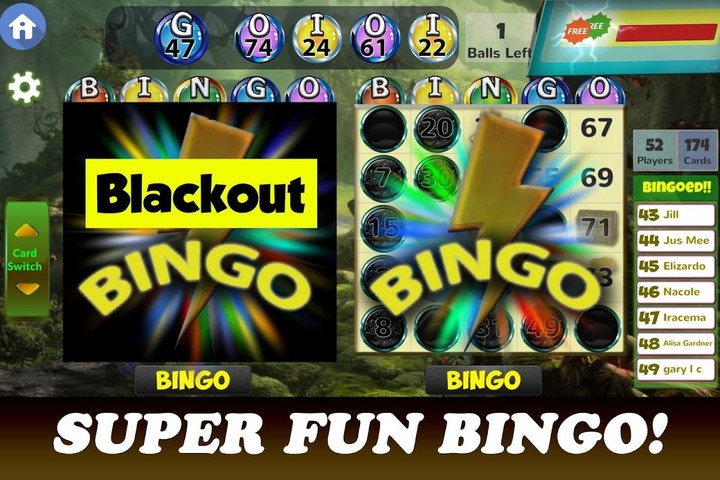 Black Bingo - Bingo World Tour screenshot image 1_funmod.online