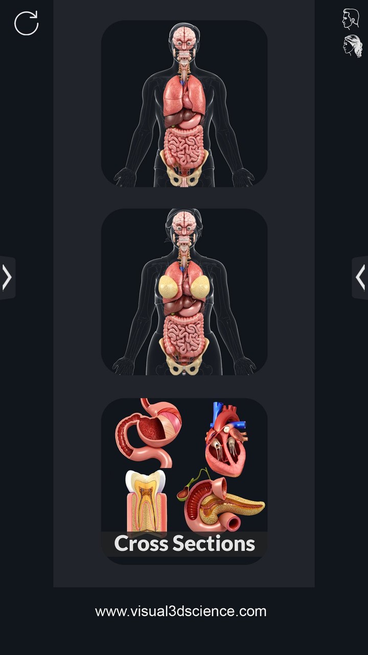 Organs Anatomy Pro. screenshot image 1_funmod.online