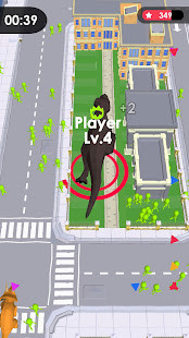 Family Nurse Practitioner Q&A screenshot image 2_funmod.online