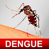 Dengue Fever Cure & Foods Diet2.5_funmod.online