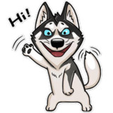 Cute Husky Stickers WAStickers1.0.0_funmod.online