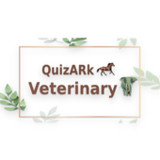 QuizArk: Veterinary1.6_funmod.online