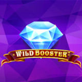 Wild Booster Slot Casino Game3.0_funmod.online