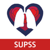 SUPSS1.21.0_funmod.online