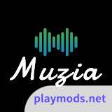 Muzia: Music on Display<span>(Pro Unlocked)</span>1.3.0_funmod.online