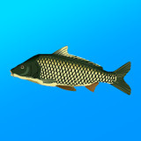 True Fishing. Simulator<span>(Unlock full content)</span>1.18.0.868_funmod.online