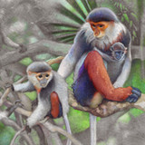 Nature0.2.5337_funmod.online