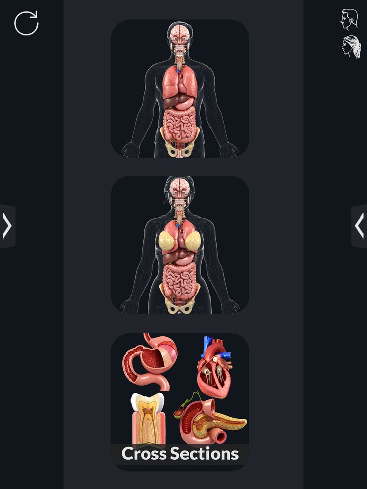 Organs Anatomy Pro. screenshot image 10_funmod.online